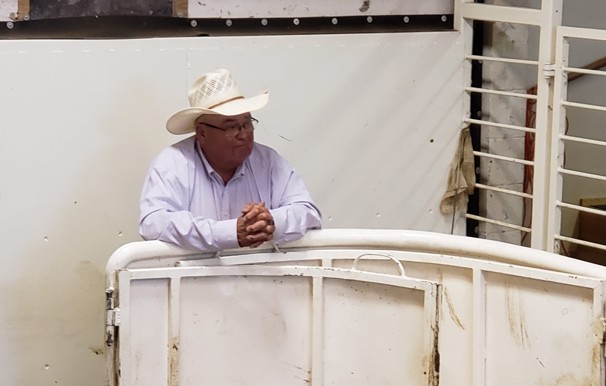 webpage 2 edit Philip Livestock Market